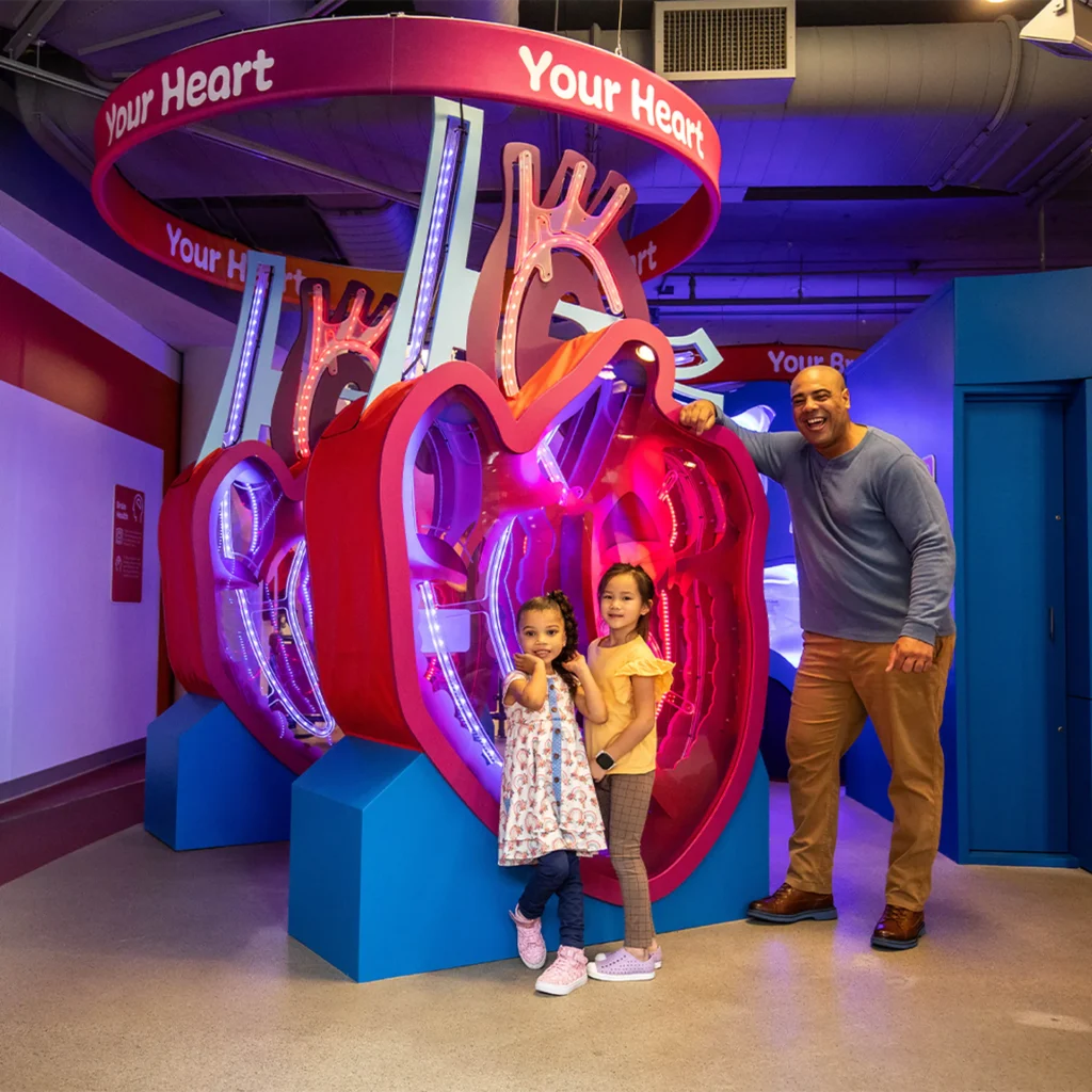 The Your healthy Body exhibit at the Children's Museum of the Upstate Greenville location.