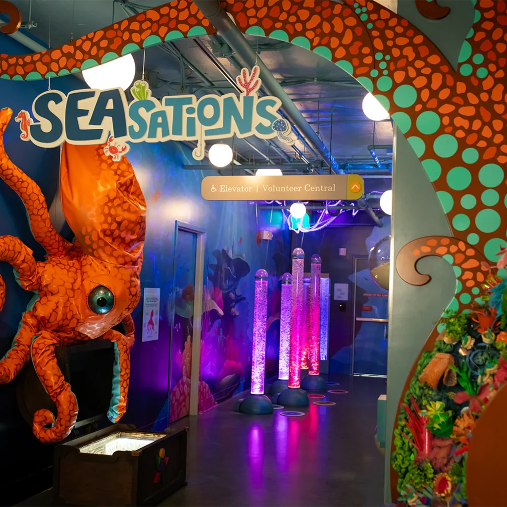 Seasations at the Children's Museum of the Upstate Greenville location.