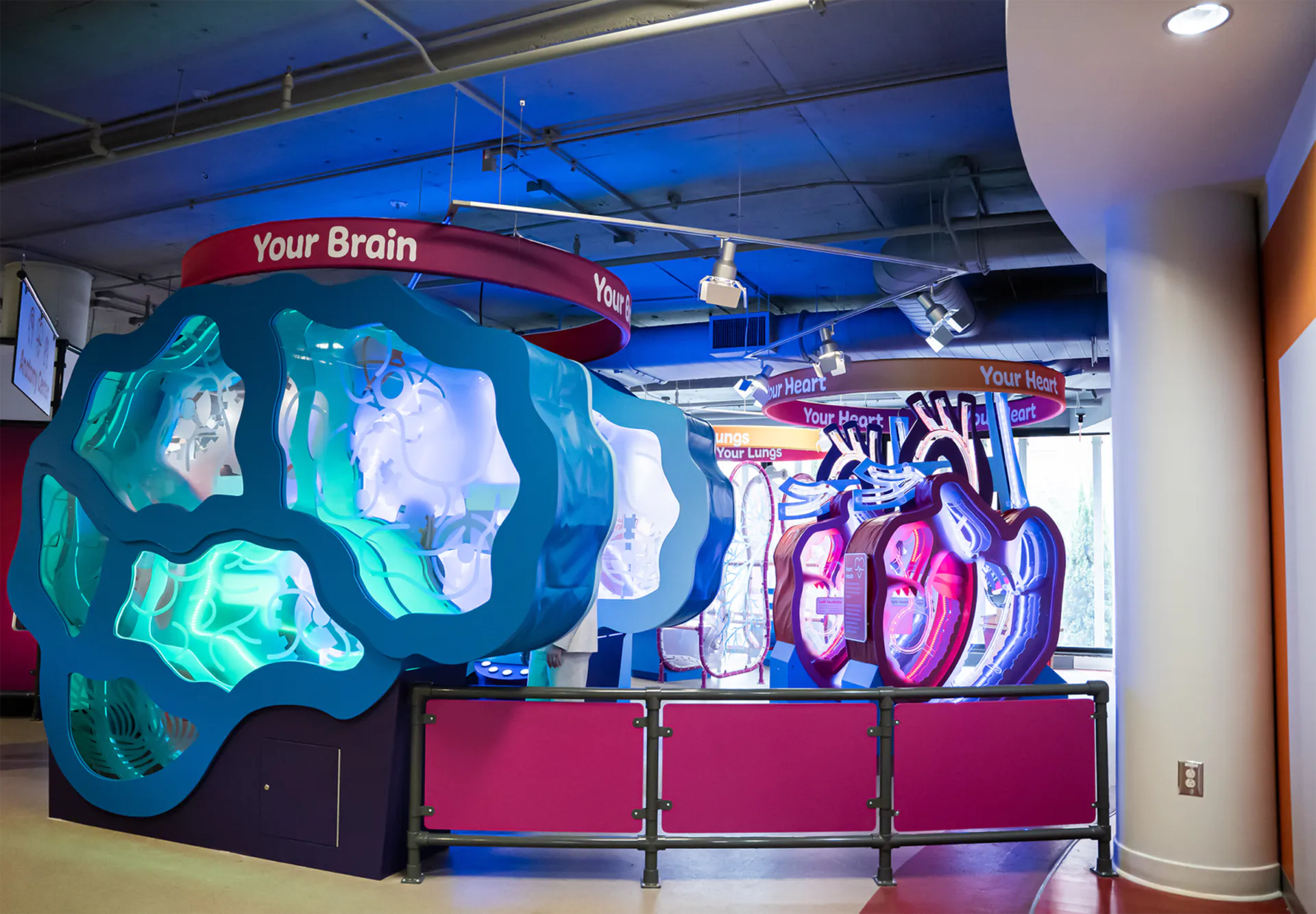 The front of the health exhibit at the Children's Museum of the Upstate Greenville Location.