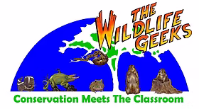 Presentation1jpg Presentation1jpg